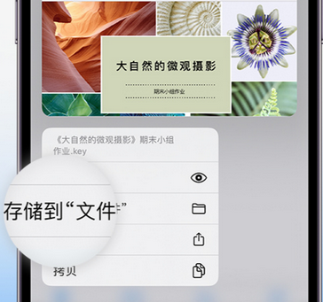 槐荫apple维修中心分享iPhone文件应用中存储和找到下载文件