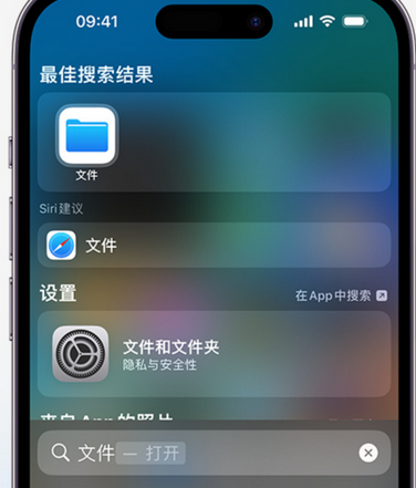 槐荫apple维修中心分享iPhone文件应用中存储和找到下载文件 