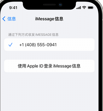 槐荫apple维修iPhone上无法正常发送iMessage信息 