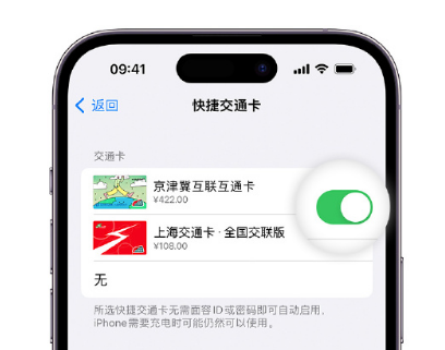 槐荫apple维修点分享iPhone上更换Apple Pay快捷交通卡手绘卡面 