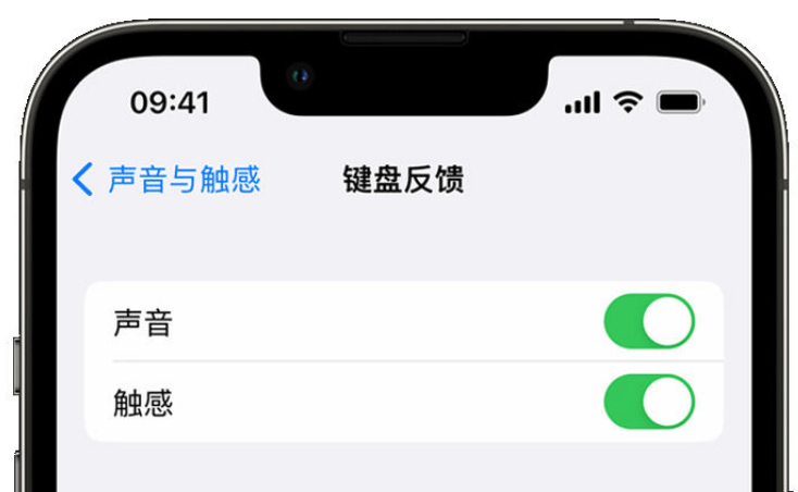 槐荫苹果手机维修分享iPhone 14触感键盘使用方法 