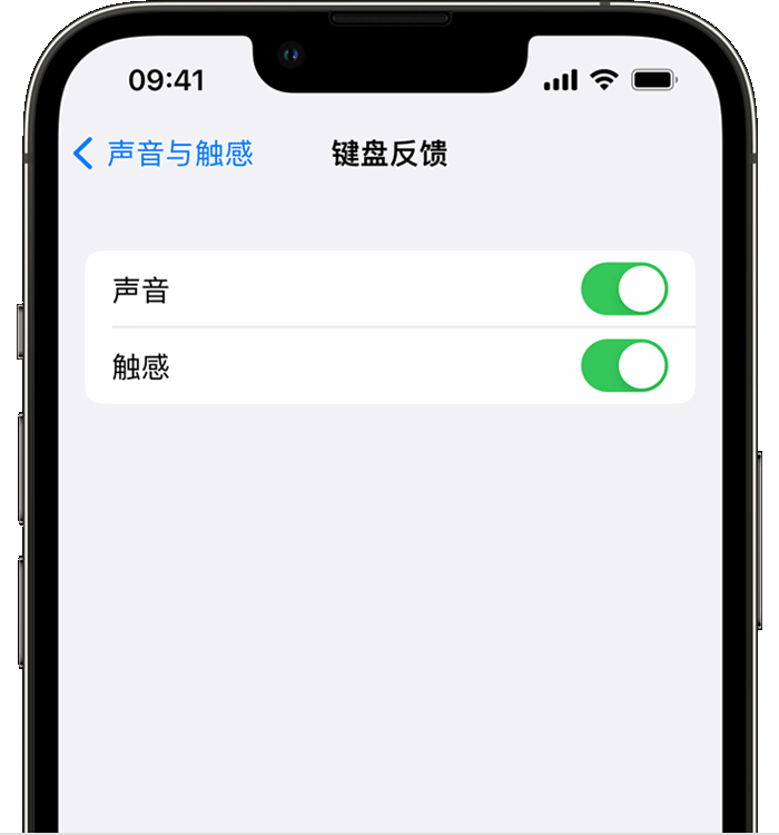 槐荫苹果14维修店分享如何在 iPhone 14 机型中使用触感键盘 