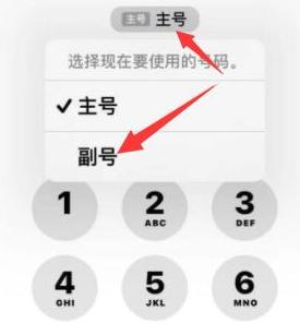 槐荫苹果14维修店分享iPhone 14 Pro Max使用副卡打电话的方法 