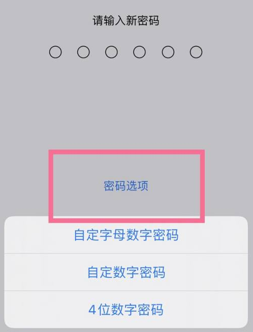 槐荫苹果14维修分享iPhone 14plus设置密码的方法 