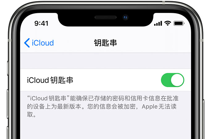 槐荫苹果手机维修分享在 iPhone 上开启 iCloud 钥匙串之后会储存哪些信息 