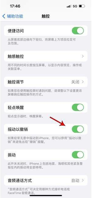 槐荫苹果手机维修分享iPhone手机如何设置摇一摇删除文字 