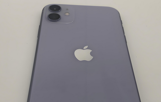 槐荫苹果11系统维修分享iPhone11手机系统崩溃无法开机如何解决 